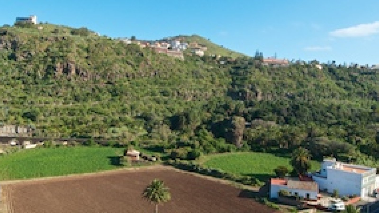 720-guinuigada-jardin-botanico-2.jpg