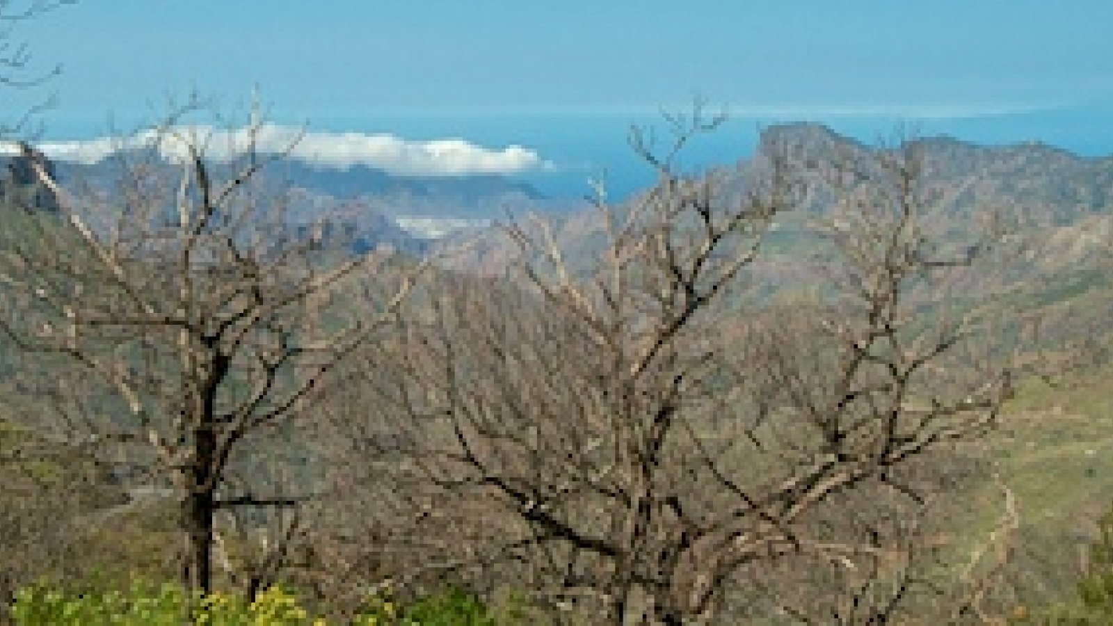 720-cruz-de-tejeda-panorama.jpg