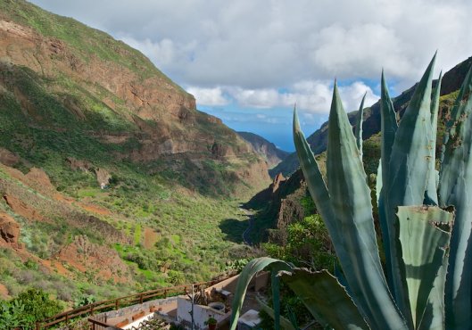 Wandern Gran Canaria – Routen, Karten & Tipps