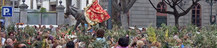 semana-santa-las-palmas-procesion-de-la-burritaI.jpg