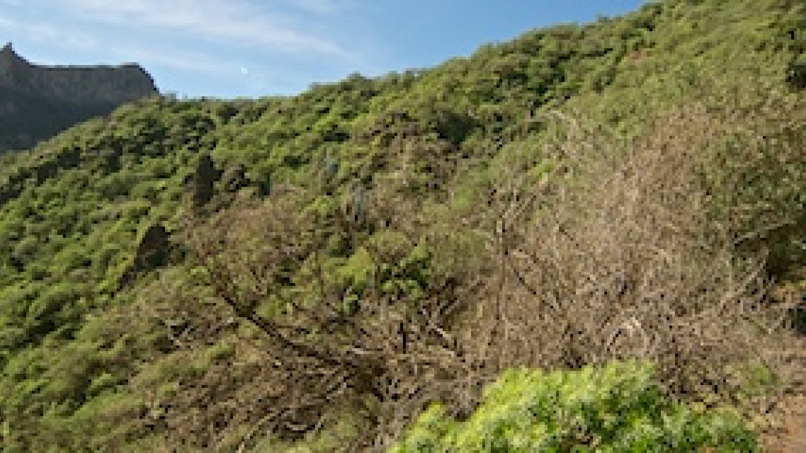 Alquiler bicicletas de montañas en Las Palmas de Gran Canaria, Foto: Gira MTB Barranco de Guyadeque
