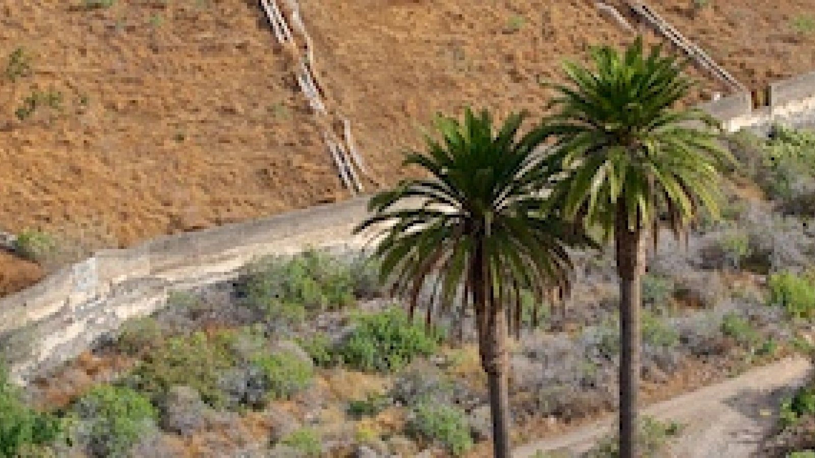 720-barranco-guiniguada-1.jpg