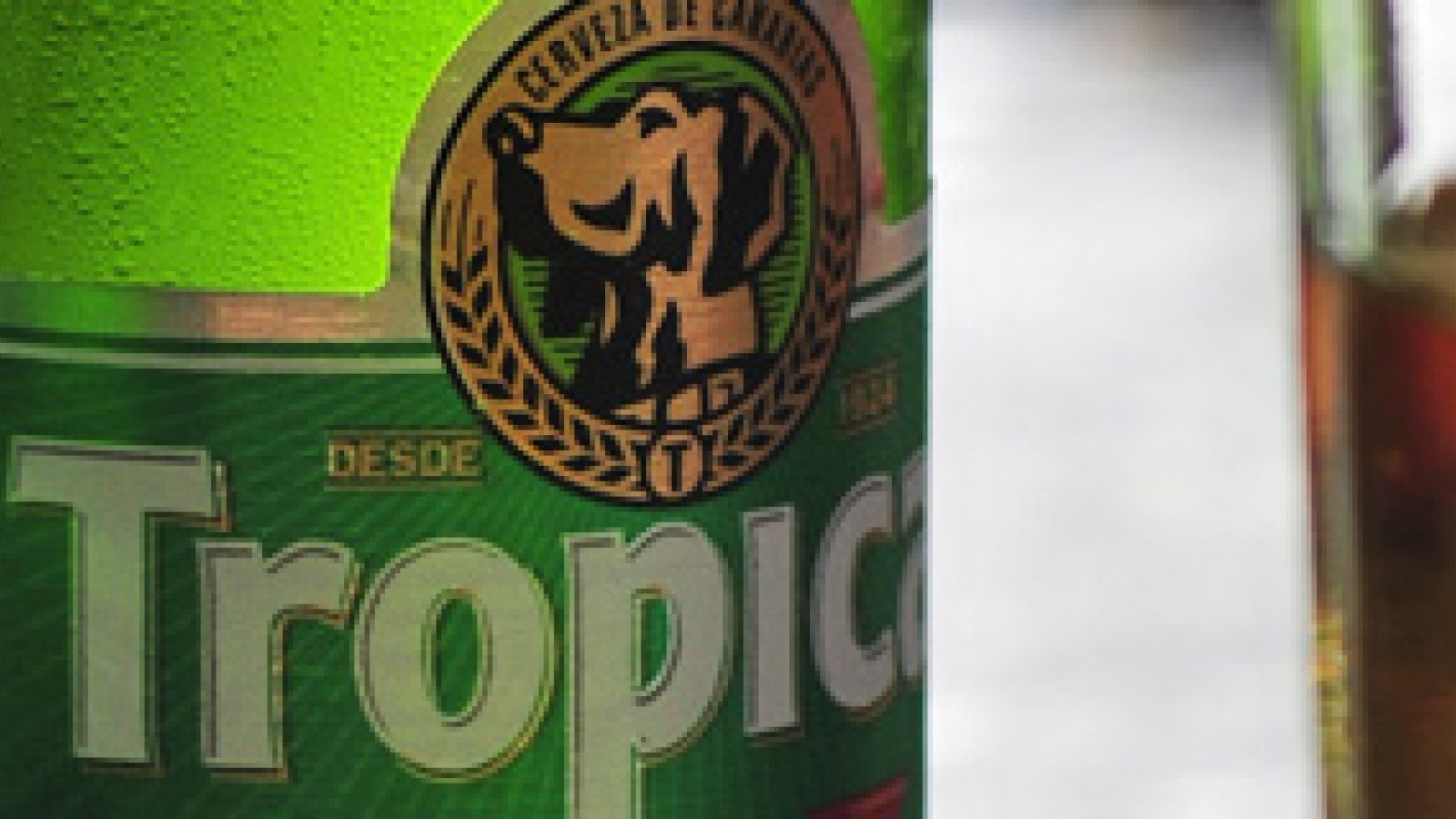 bier-las-palmas-01.jpg