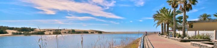 Maspalomas-Oasis Apartment lettings at Faro-beach Gran Canaria – calm vacation apartment rentals newly refurbished
