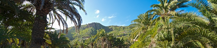 Ausblick Botanischer Garten Las Palmas: Jardin Botanico Viera y Clavijo im Barranco de Guiniguada