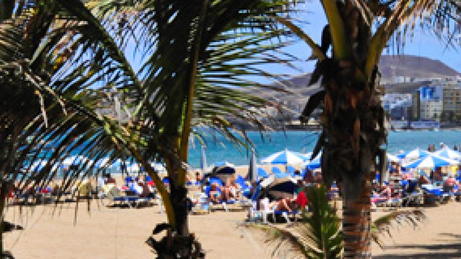 canteras-palm-beach720.jpg