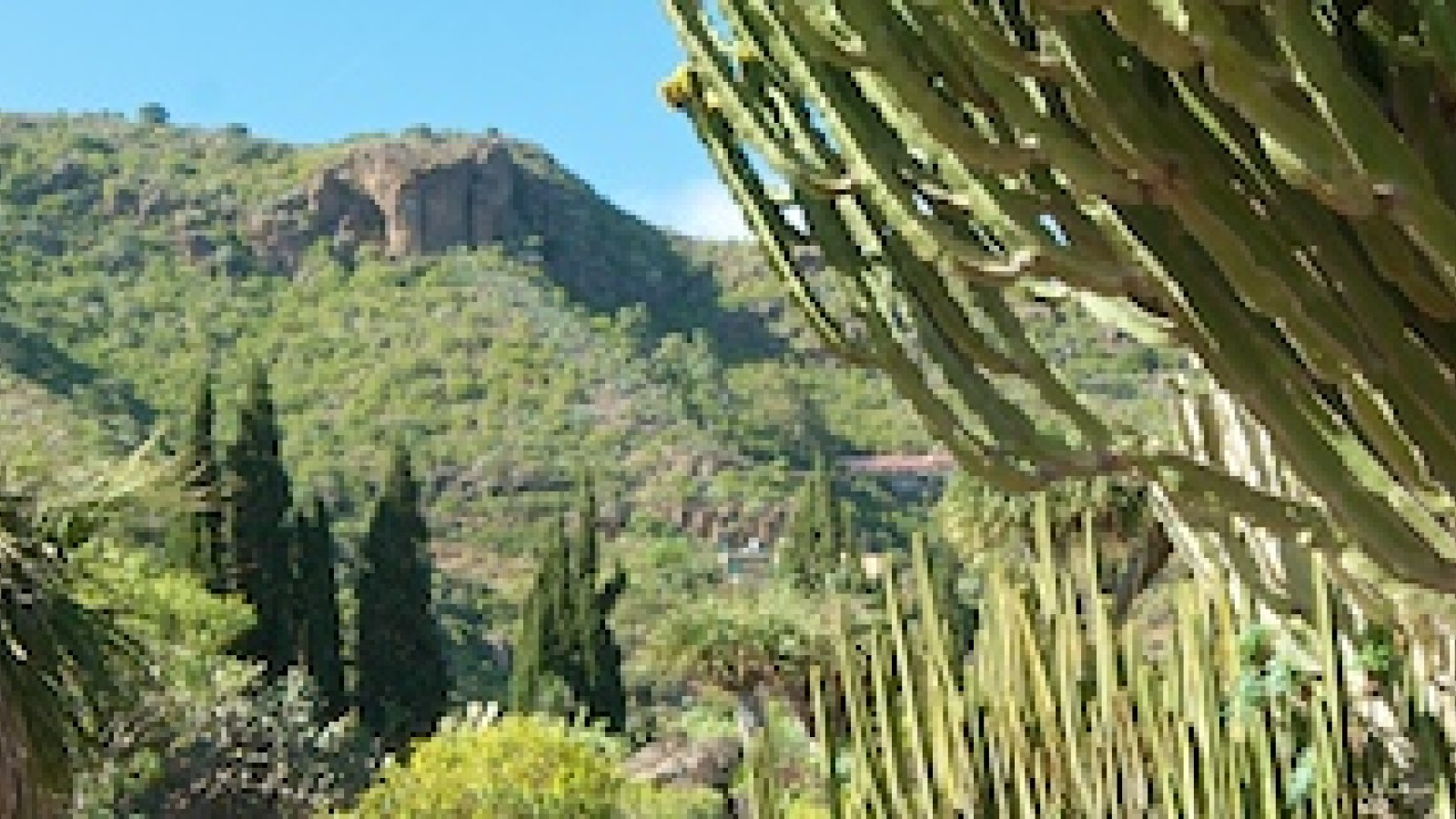 720-jardin-botanico-las-palmas-1.jpg