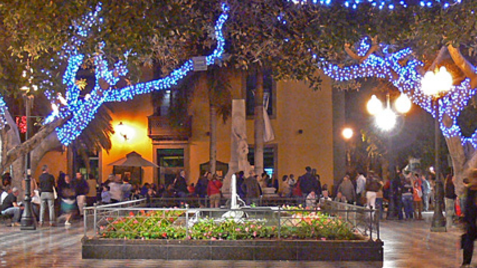sightseeing-las-palmas-plaza-ranas5.jpg
