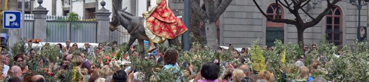 semana-santa-las-palmas-procesion-de-la-burritaI.jpg