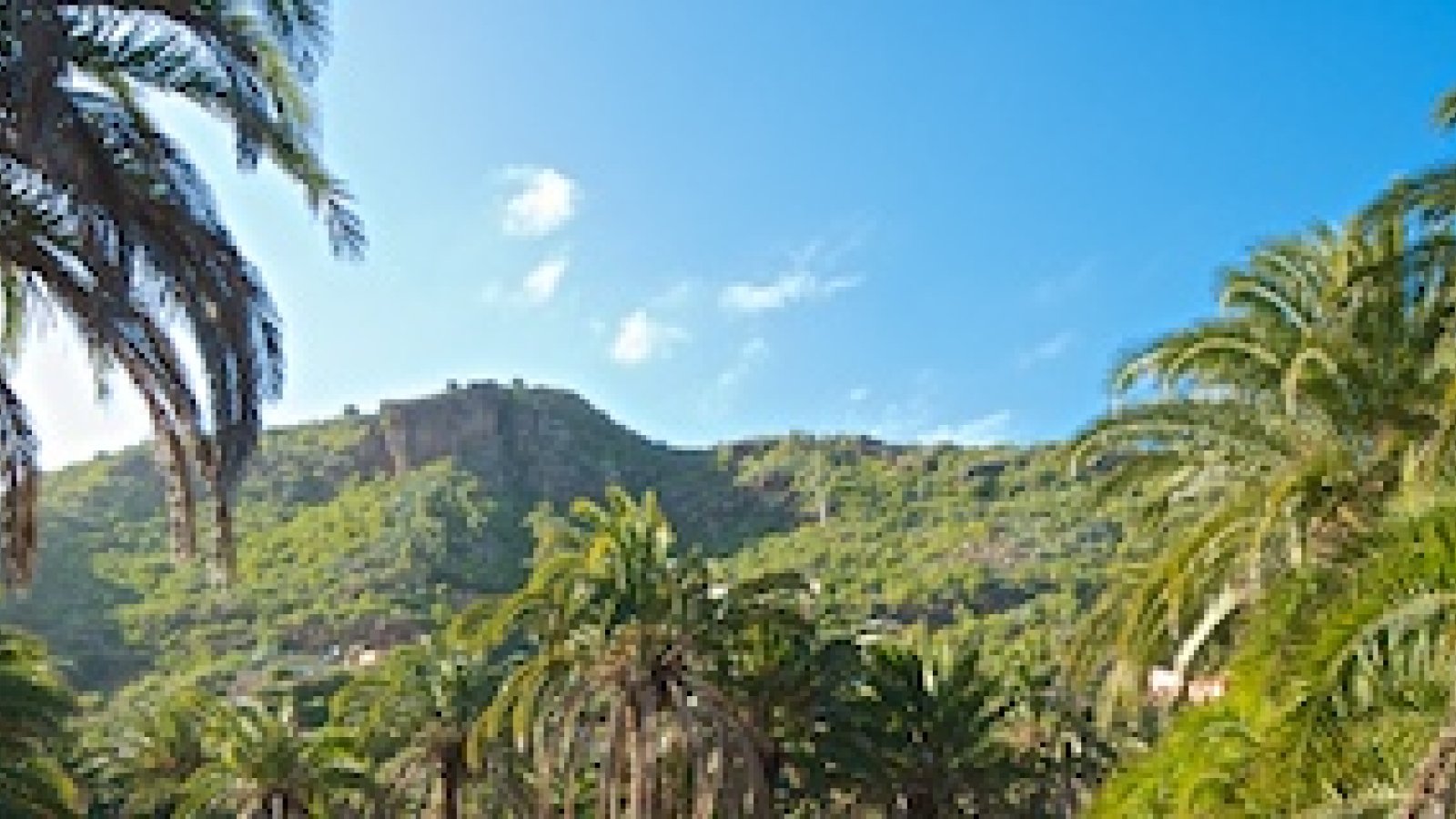 720-jardin-botanico-las-palmas.jpg