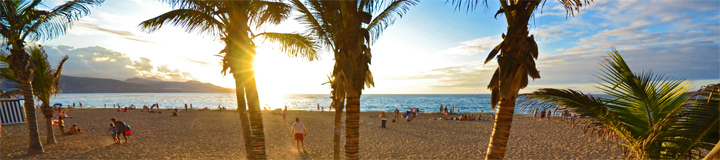 canteras-palm-beach-0084.jpg