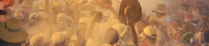 Palmeros2010-720.jpg