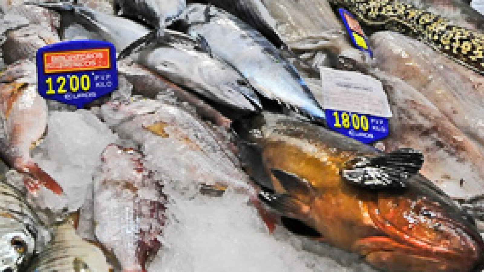 fischmarket-720.jpg