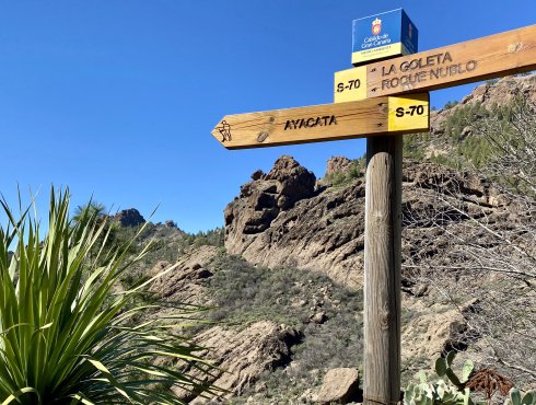 Wegkreuz Wanderweg S-70 Roque Nublo - La Goleta