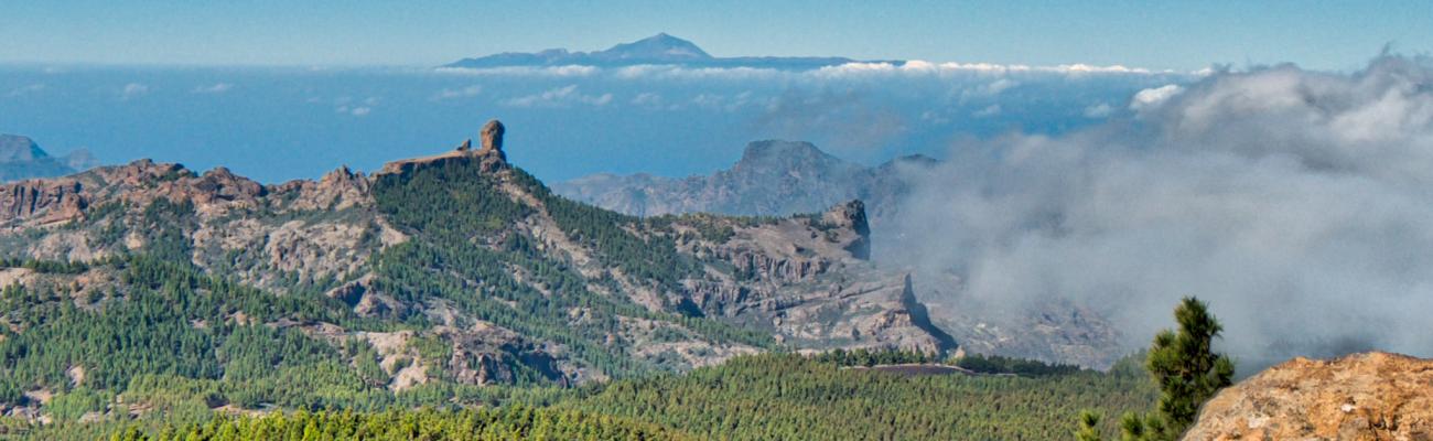 Roque Nublo Blick vom Pico de las Nieves vor Teide auf Teneriffa
