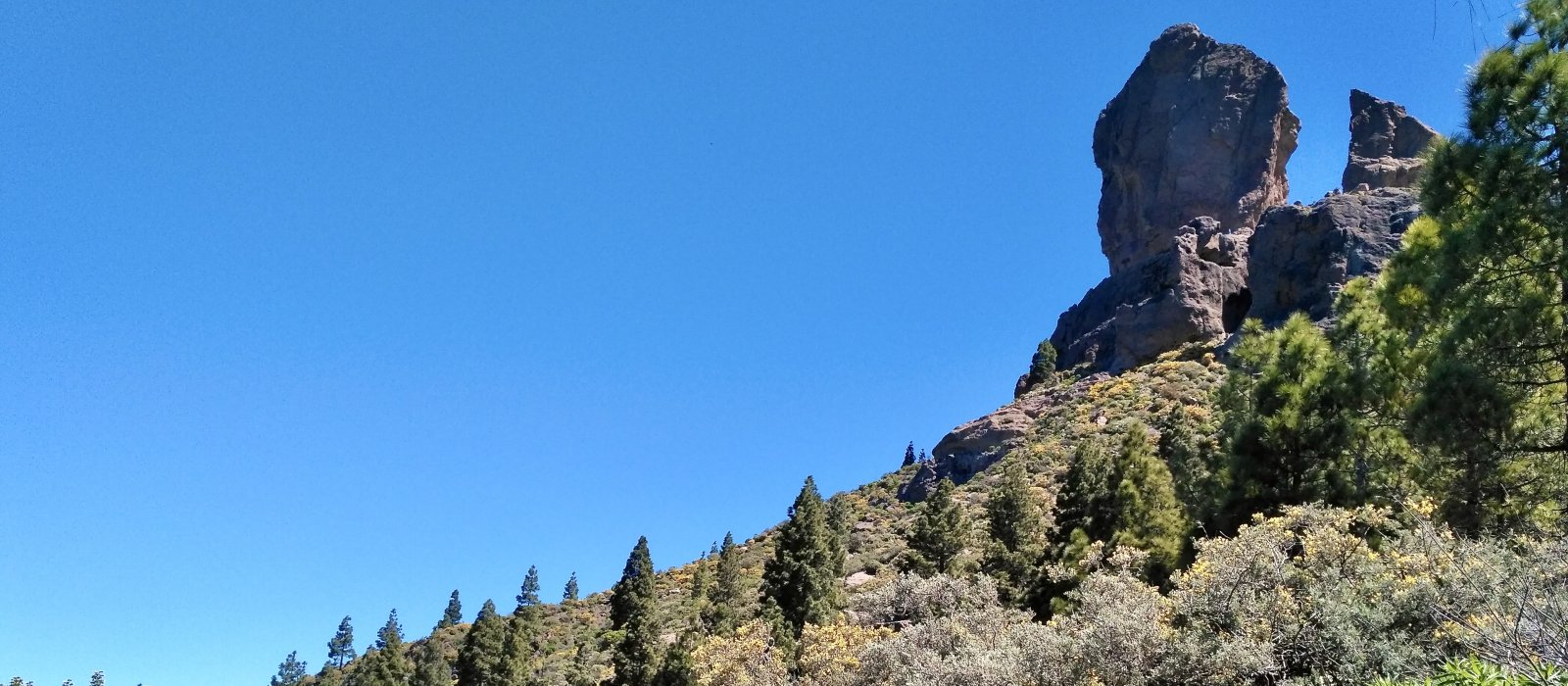 Roque Nublo vom Rundwanderweg aus gesehen