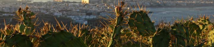 aussichtspunkte-las-palmas-confital5.jpg