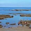 Der Playa las Canteras Strand